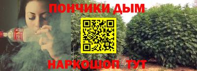 твердый Бийск