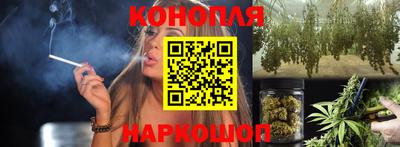 твердый Бийск