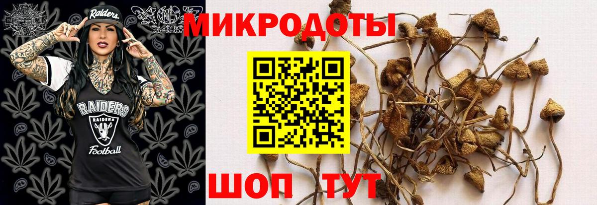 Псилоцибиновые грибы мицелий Калач-на-Дону